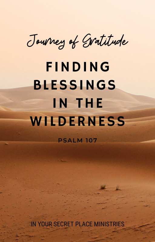 Journey of Gratitude: Finding Blessings in the Wilderness eBook